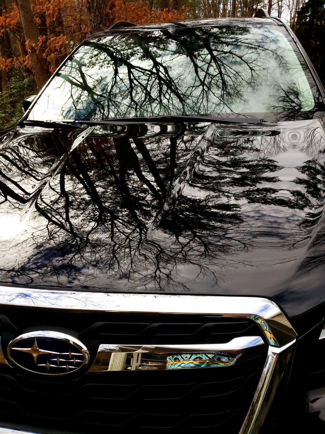 How to Remove Bug Splatter Without Damaging Paint