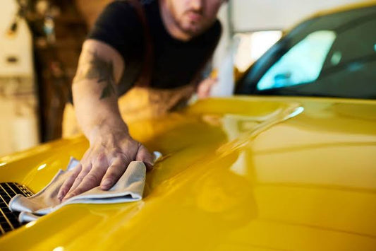 How to Remove Tree Sap From Your Car and Protect the Paint